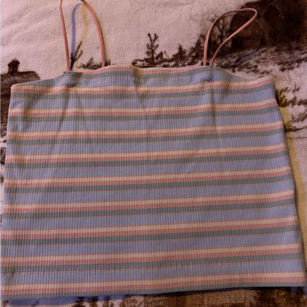 American Eagle Outfitters Blue and Pink Striped Camisole